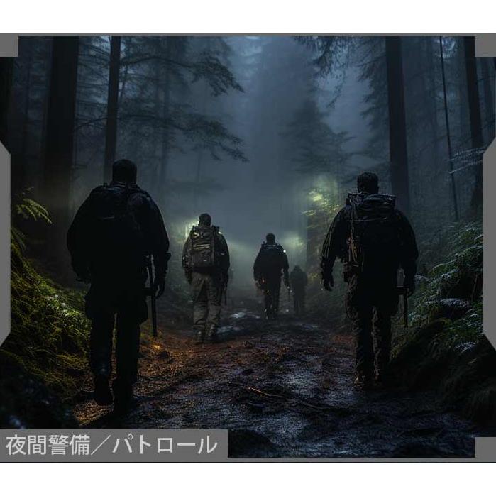 OLIGHT オーライト Warrior X4 Kit タクティカル : PKウェーブ - 通販