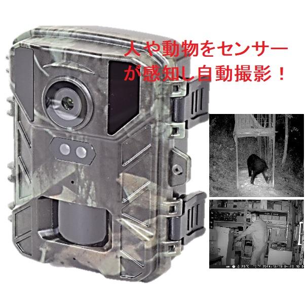 赤外線無人撮影4Kカメラ STR-MiNi800 SIGTRON サイトロン : PK