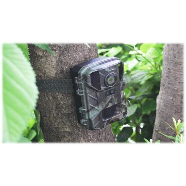 【サイトロンジャパン】赤外線無人撮影4Kカメラ「STR-MiNi800」 赤外線無人撮影4KカメラSTR-MiNi800｜株式会社サイトロン