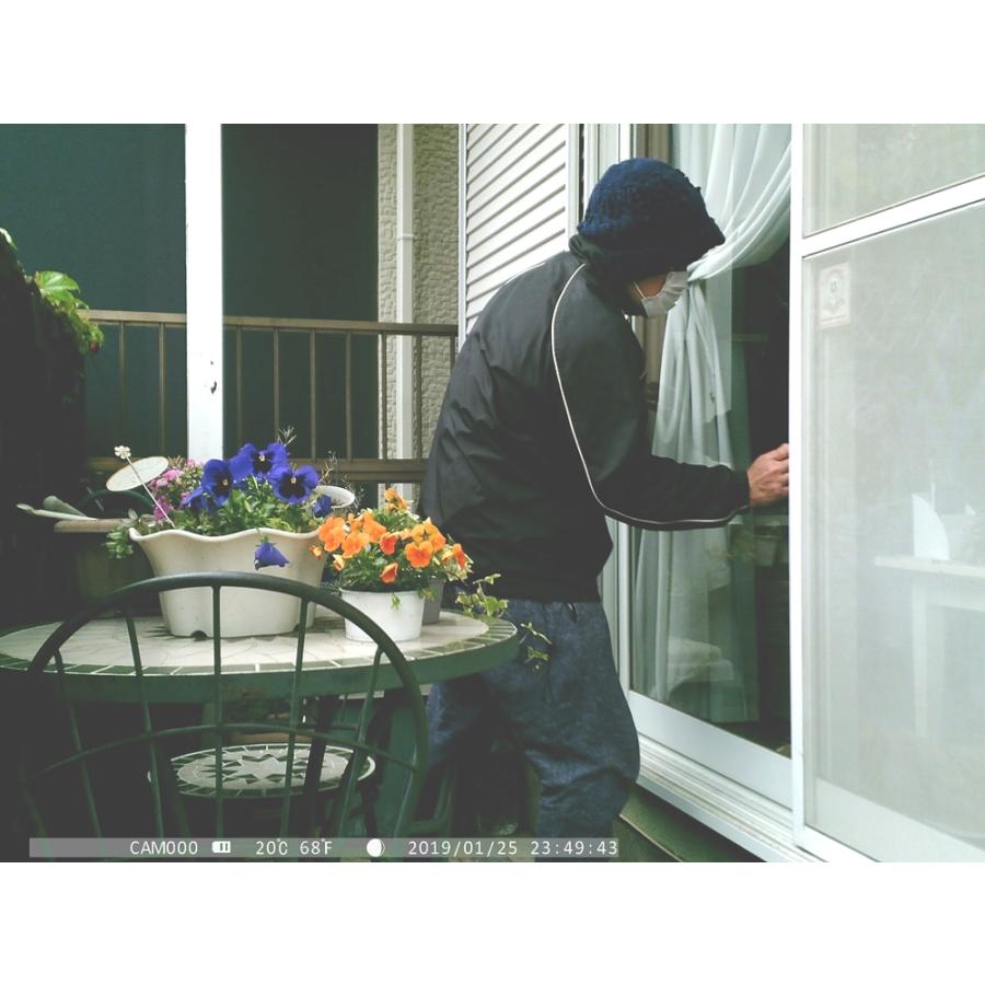 赤外線無人撮影4Kカメラ　STR-MiNi800 SIGTRON サイトロン |  | 05