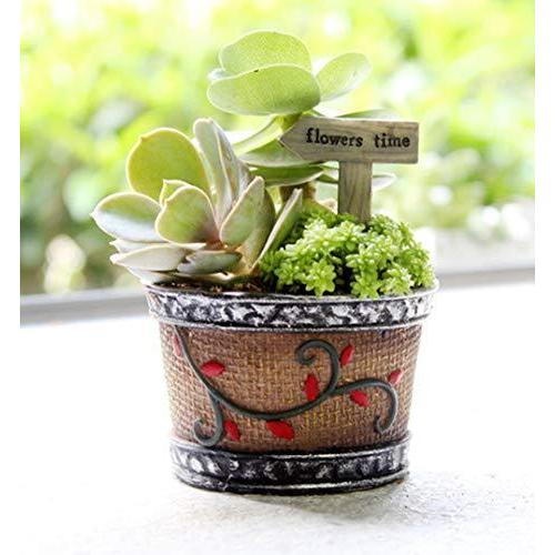 Iwailoft サボテン鉢 植木鉢 ミニ 多肉植物鉢 多肉植物ポット 6点セット 北欧 おしゃれ 卓上 置物 インテリア プレ A B04fyvbt Playlife Lion堂 通販 Yahoo ショッピング