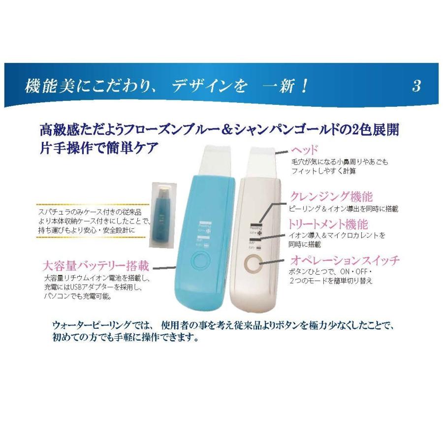 ACQUA アクアウォーターピーリング ブルー アクアウォーターピーリング フローズンブルー AQUA WATER