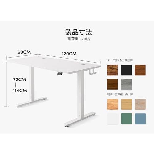 FEZIBO 電動 昇降式デスク スタンディングデスク 幅120cm 奥行