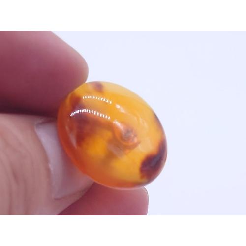 本べっ甲 イヤリング シンプル 丸タイプ 綺麗 中ぶり カジュアル フォーマル　(E-114)