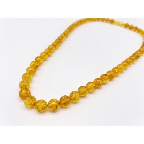 本琥珀 ネックレス バルティックアンバー 贅沢 黄金 上品 華やか 存在感 天然素材（N-268）の画像