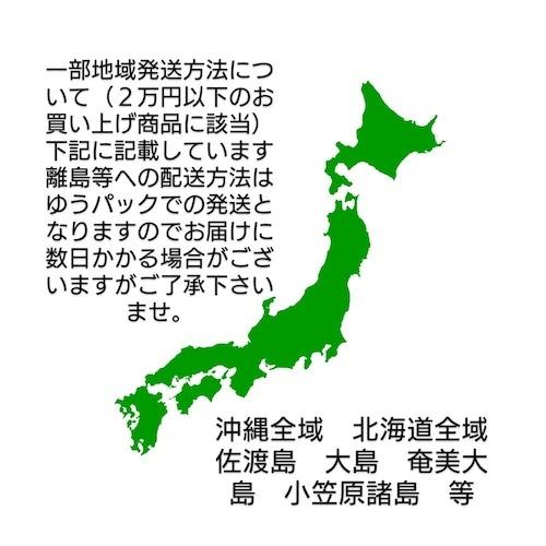 本べっ甲 ペンダント しなやか 立体的 存在感 アフリカ珊瑚 プレゼント 一品 天然素材（pe-318）の画像