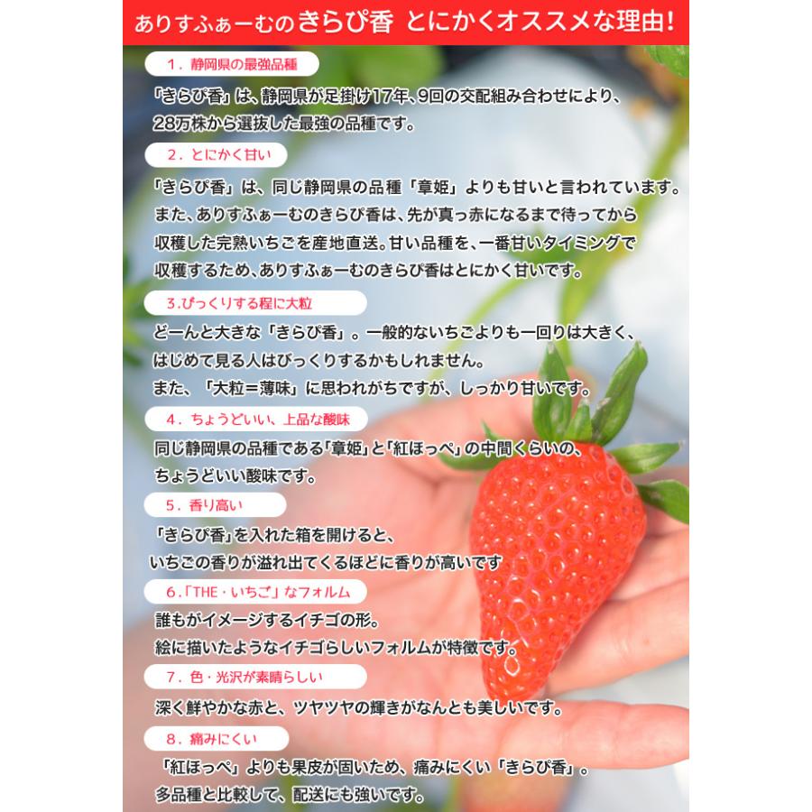 いちご きらぴ香 訳あり ありすふぁーむ 約750g 送料無料 ワケあり イチゴ 苺 訳ありいちご 農家直送 静岡県 果物 フルーツ プチ 贅沢 美味しい 産地直送 大きい :703001:Plaisir プレジール - 通販 - Yahoo!ショッピング いちご きらぴ香 訳あり ありすふぁーむ 約750g 送料無料 ワケあり イチゴ 苺 訳ありいちご 農家直送 静岡県 果物 フルーツ プチ 贅沢 美味しい 産地直送 大きい :703001:Plaisir プレジール - 通販 - Yahoo!ショッピング