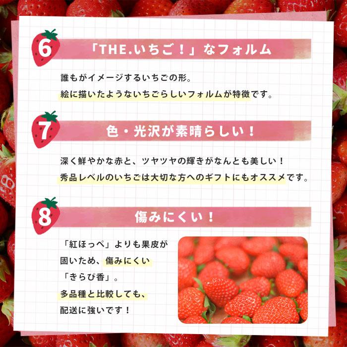 いちご きらぴ香 ギフト ありすふぁーむ 送料無料 イチゴ 苺 静岡県 甘い フルーツ 果物 美味しい おいしい 産地直送 高糖度 大粒 大きい お取り寄せ 贈答品｜plaisir-shop｜05