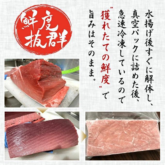 北海道 函館市 戸井 産 本マグロ 大トロ 1kg 冷凍 ブロック クロマグロ 国産 津軽海峡 戸井 函館 大とろ トロ とろ 本まぐろ 本鮪 まぐろ マグロ まぐろ 鮪 食品 戸井 まぐろ 函館市 産 本マグロ 大トロ 1kg 冷凍 ブロック クロマグロ 国産 津軽海峡 函館 大とろ トロ とろ 本まぐろ 本鮪 マグロ 鮪 食品