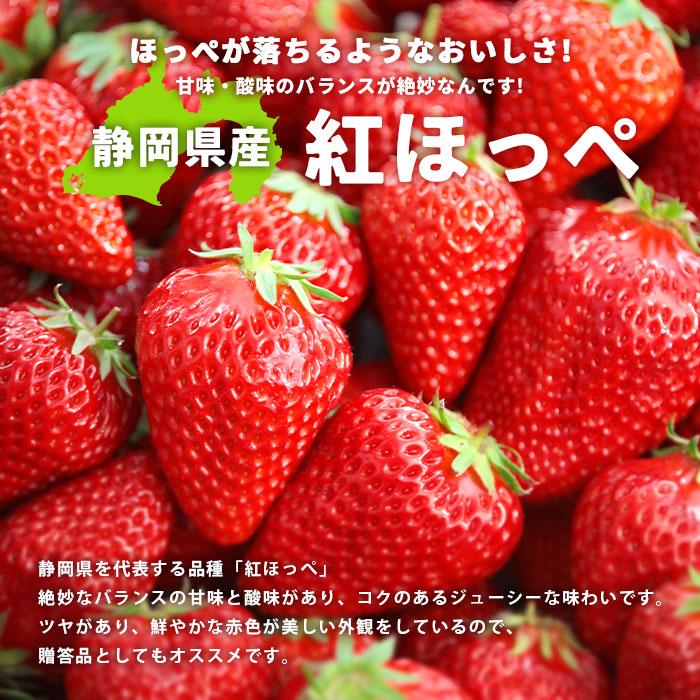 紅ほっぺ いちご イチゴ 苺 1140g 1kg 20〜32玉入り 4パック 大玉 直送 国産 静岡県産 静岡 静岡県 果物 日本産 フルーツ 冷蔵 クール便 取り寄せ 産地直送 農家｜plaisir-shop｜02