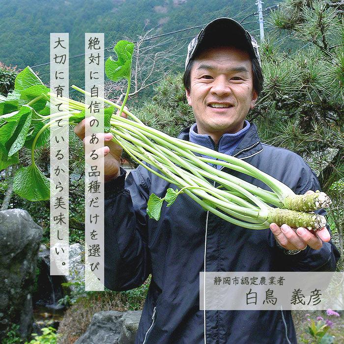 生わさび 有東木 M(40-60g) わさび 山葵 wasabi おろし金 お試し セット 生わさびセット 生わさびおろし器 静岡産 生わさびの保存方法 産地直送 本わさび 直売 :wasabi003:Plaisir プレジール - 通販 - Yahoo!ショッピング 生わさび 有東木 M(40-60g) わさび 山葵 wasabi おろし金 お試し セット 生わさびセット 生わさびおろし器 静岡産 生わさびの保存方法 産地直送 本わさび 直売 :wasabi003:Plaisir プレジール - 通販 - Yahoo!ショッピング