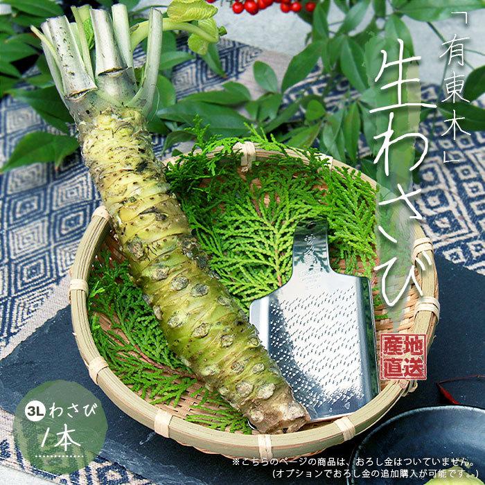 セール&特集> 山葵 直売 1本 産地直送 3L 静岡産 wasabi 日本最古 おギフト わさび 本わさび 手土産 120-140g お試し 生わさび 生わさびの保存方法 有東木 生わさびおろし器 香味野菜 セール&特集> 山葵 直売 1本 産地直送 3L 静岡産 wasabi 日本最古 おギフト わさび 本わさび 手土産 120-140g お試し 生わさび 生わさびの保存方法 有東木 生わさびおろし器 香味野菜