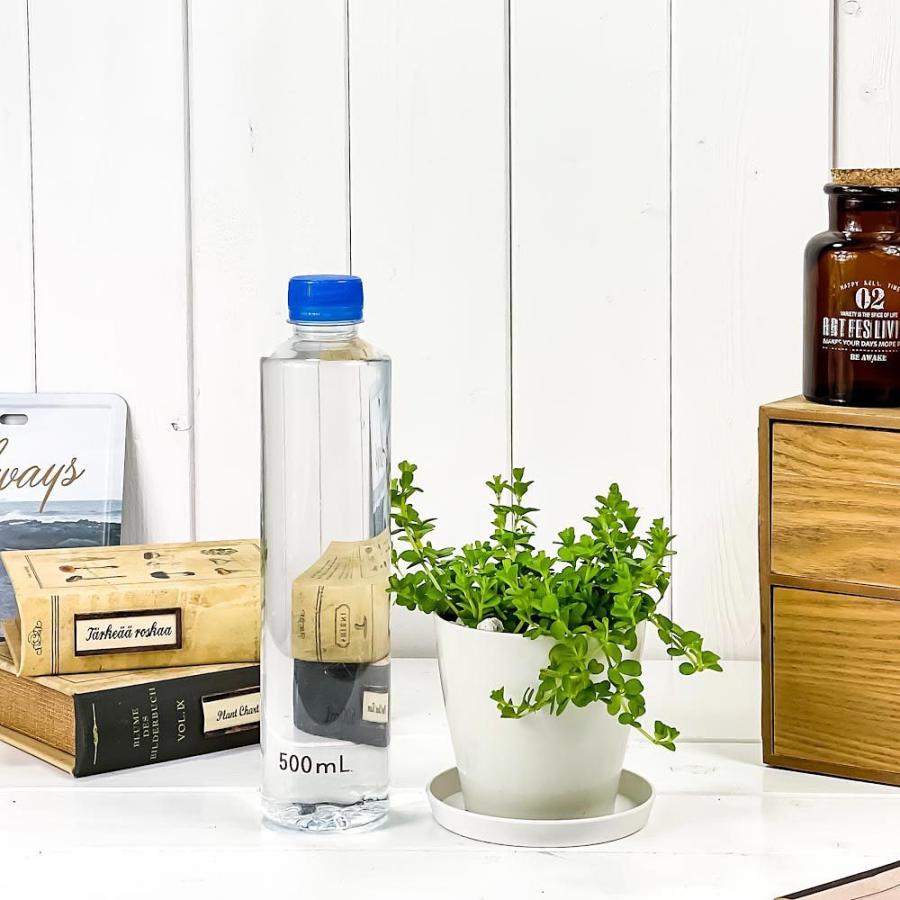 観葉植物 ペペロミア デピーナ 3 5号鉢 受け皿付き 育て方説明書付き Peperomia Deppeana アロマペペ 0380 プランチュ Yahoo 店 通販 Yahoo ショッピング