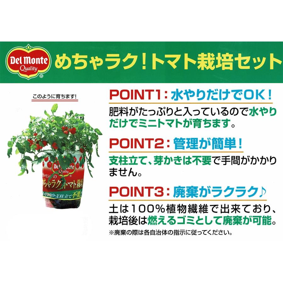 デルモンテ めちゃラク トマト栽培セット 野菜 野菜苗 トマト トマト苗 予防接種苗 植え込み完成品 プランチュ Yahoo 店 通販 Yahoo ショッピング