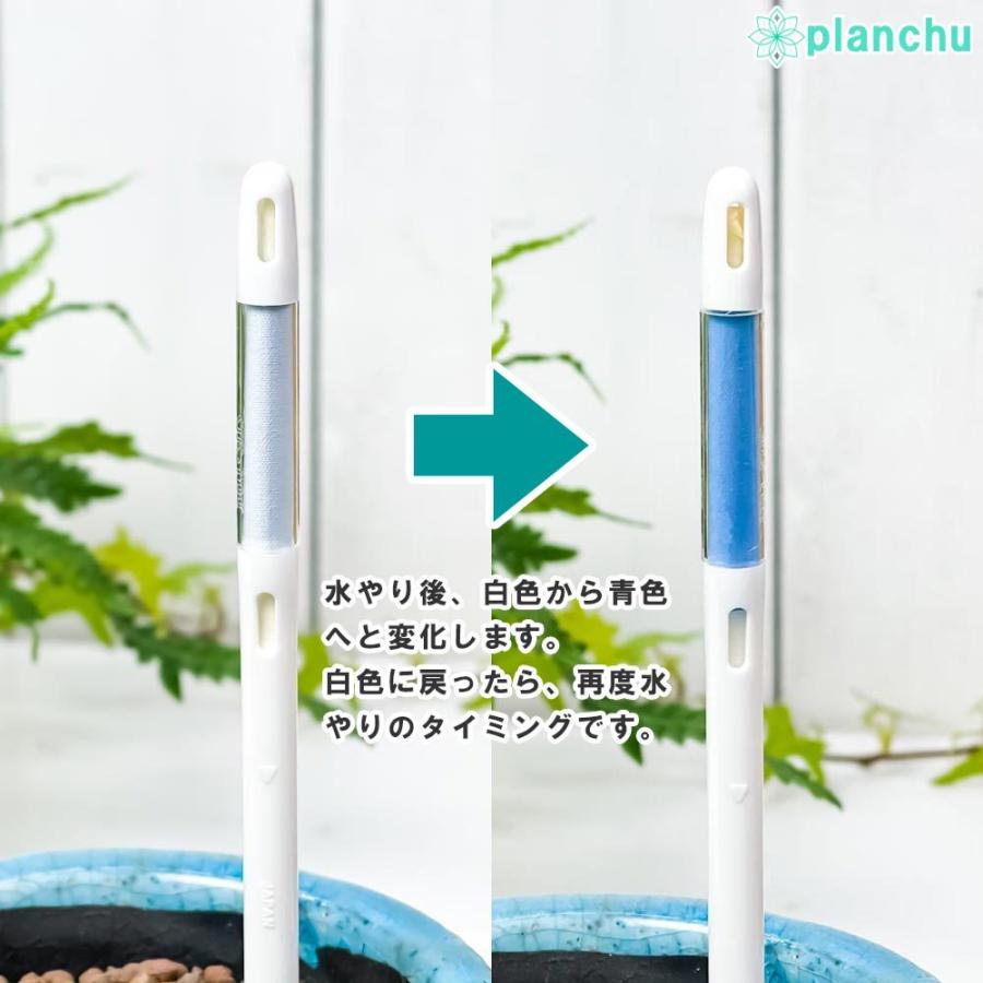 ゆうパケット発送 送料無料 水やりチェッカー 水分計 サスティー Mサイズ 1本 3 5 6号鉢用 サスティ プランチュ Yahoo 店 通販 Yahoo ショッピング