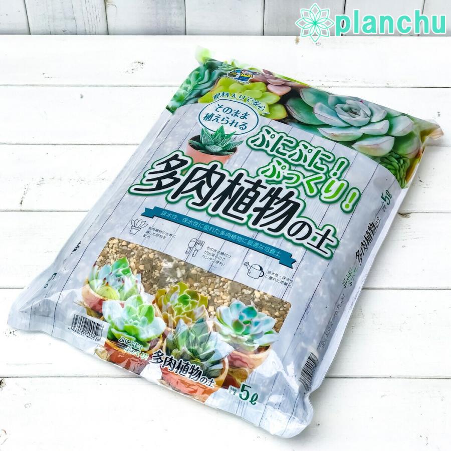 ぷにぷに ぷっくり 多肉植物の土 5l ハオルチア セダム エケベリア アロエ リトープス パキフィツム サボテン プランチュ Yahoo 店 通販 Yahoo ショッピング