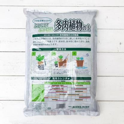 ぷにぷに ぷっくり 多肉植物の土 5l ハオルチア セダム エケベリア アロエ リトープス パキフィツム サボテン プランチュ Yahoo 店 通販 Yahoo ショッピング