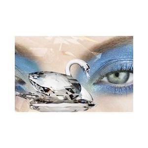SWAROVSKI（スワロフスキー） 『スワン (M)』 10006 : スワロフスキー