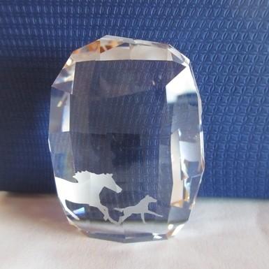 SWAROVSKI（スワロフスキー） Swarovski SCS 2014年会員限定品