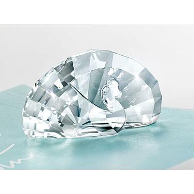 SWAROVSKI（スワロフスキー） Swarovski SCS 2015年会員限定品