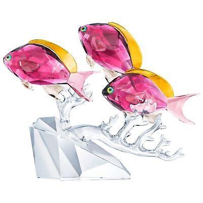 廃盤品 SWAROVSKI スワロフスキー お魚 クリスタル スワロフスキー クリスタル 3匹の南洋魚 廃番品