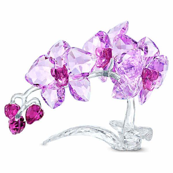 スワロフスキー Swarovski オーキッド 5520373