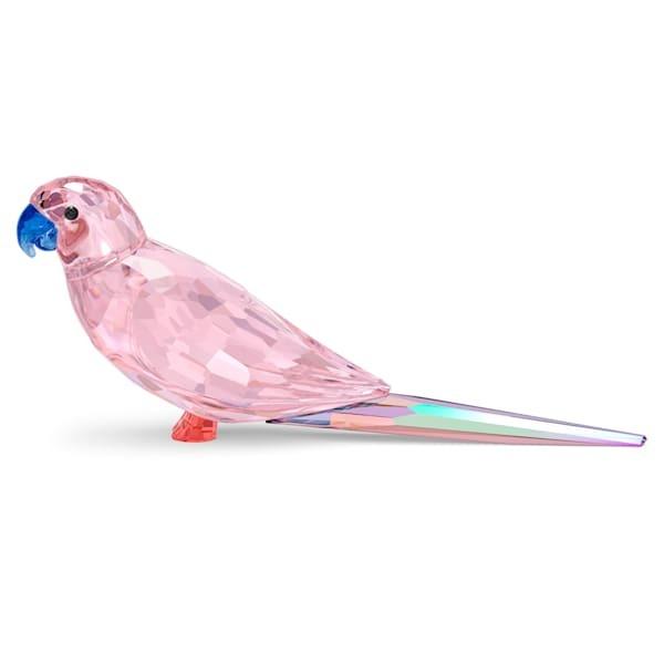 Swarovski 置物 🎱 Jungle Beatsピンクのインコ 【葉】 Cha Cha 5557848