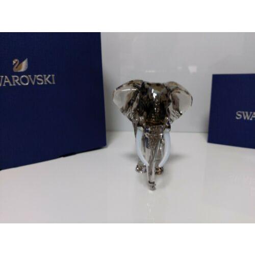 スワロフスキー Swarovski 置物 SCS Elegance of Africa 2022年度限定作品 ゾウ Fayola 5604555の画像