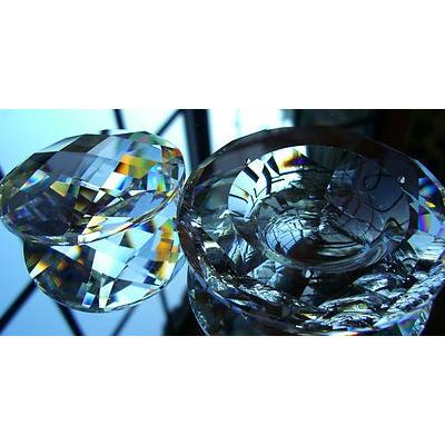 SWAROVSKI（スワロフスキー） Swarovski 2005年 SCS限定品 『Tropical