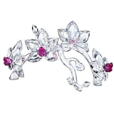 スワロフスキー Swarovski Flower Dreams オーキッド スワロフスキー Swarovski Flower Dreams 蘭 オーキッド 【公式通販】