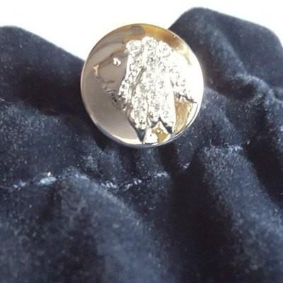 SWAROVSKI（スワロフスキー） Swarovski SCS 2016年イベント限定品