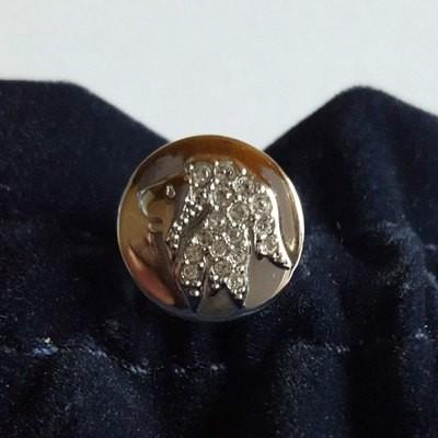 スワロフスキーのSCS 2016年度限定作品「ライオン Akili」 SWAROVSKI（スワロフスキー） 『SCS 2016年度限定作品「ライオン Akili