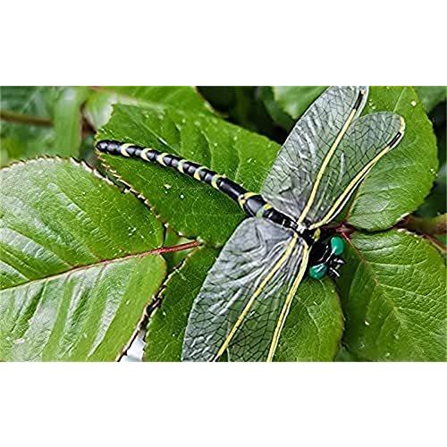 お1人様1点限り 7月入荷予定 オニヤンマ トンボ 昆虫 動物 蚊 虫除け おもちゃ 模型 リアル 安全なピン付きpvc インテリア 置物 6cm級 3匹セット Aynaelda Com