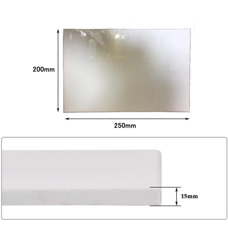 張りキャンバス　20P　x3　高級LLキャンバス　杉材　ホルベイン画材　特価 ホルベイン】ホルベイン ダンボールキャンバスの通販|キャンバス