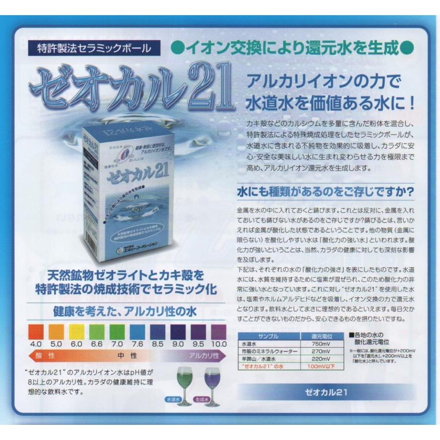 ゼオカル21 100g 二箱 新品未開封 ゼオカル21 : PLANET GEMINI - 通販 - Yahoo!ショッピング