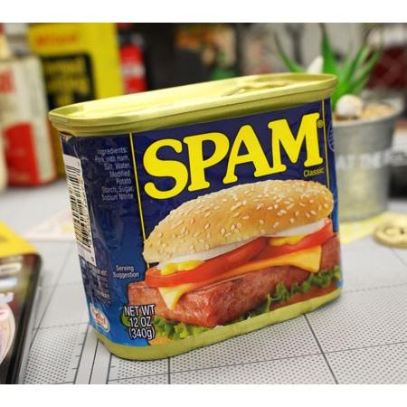 スパム 貯金箱 グッズ 雑貨 面白い 缶 アメリカン アメリカン雑貨 SPAM