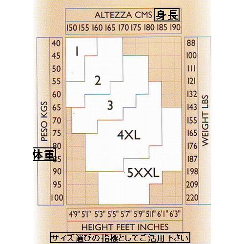 フィリップマティノン　ガードル機能つきストッキング　Revitalise　４０　イタリア製 |  | 03