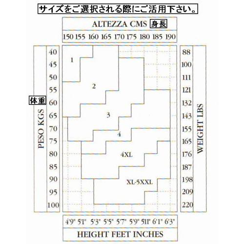 （ゆうパケット対応商品）　オメロ　OMERO　　段階加圧機能つきストッキング　omnia dies　インポートランジェリーストッキング |  | 05