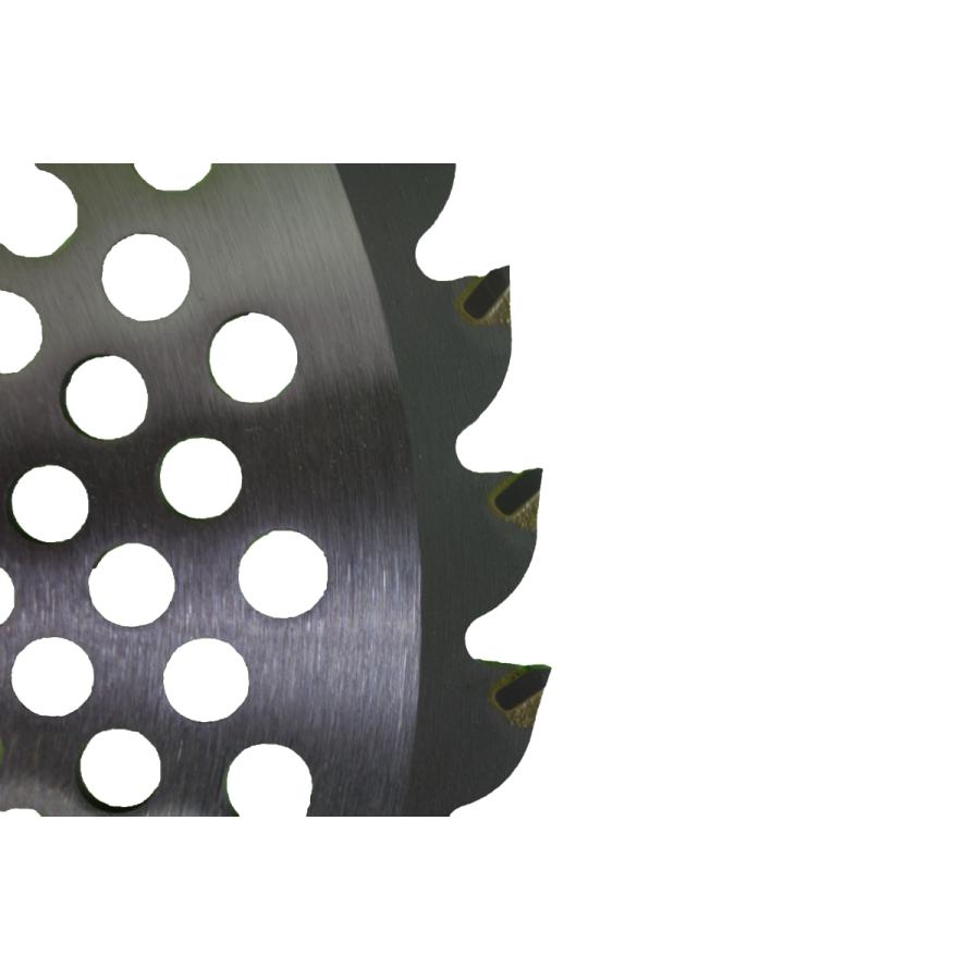 シンゲン めちゃかるチップソー 255×40P 1枚組 : プランハーベ - 通販