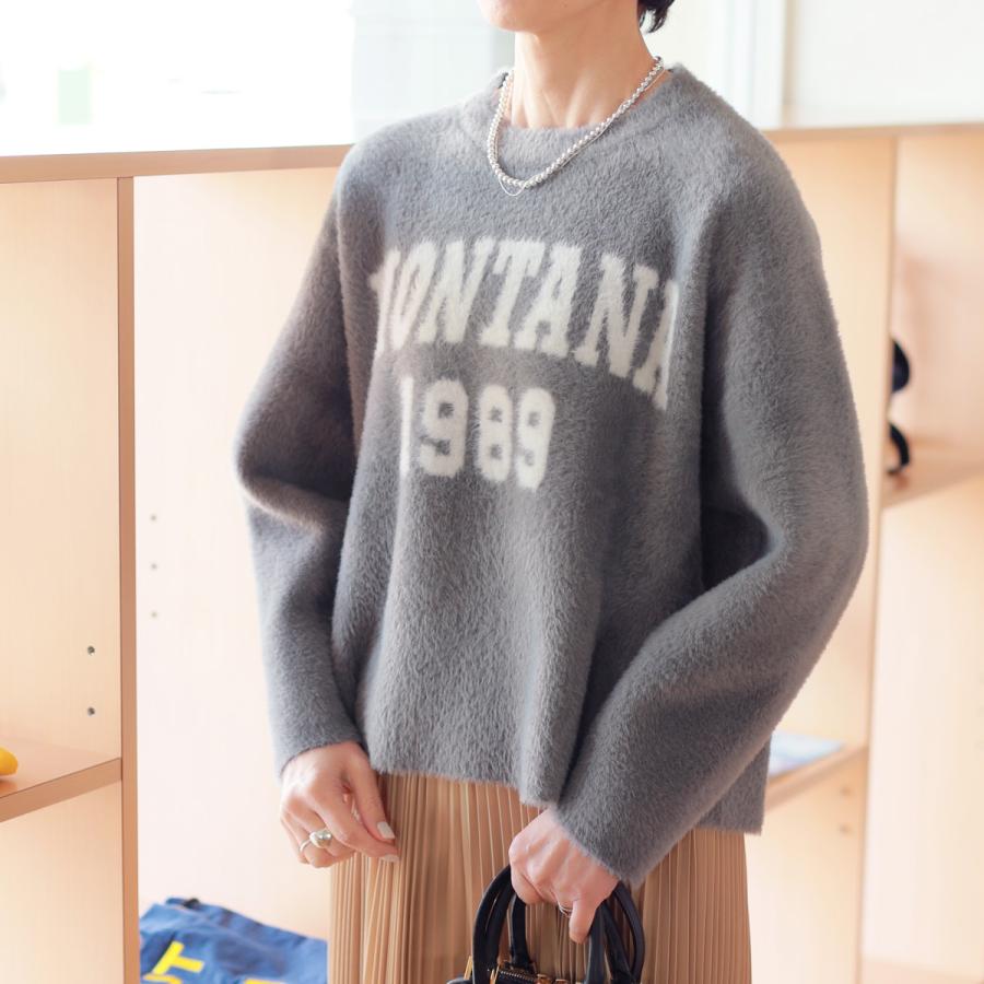 Dignite collier ディニテコリエ　ニット セーター　デザインニット Dignite collier（ディニテコリエ） シャギー切替モールメッシュ