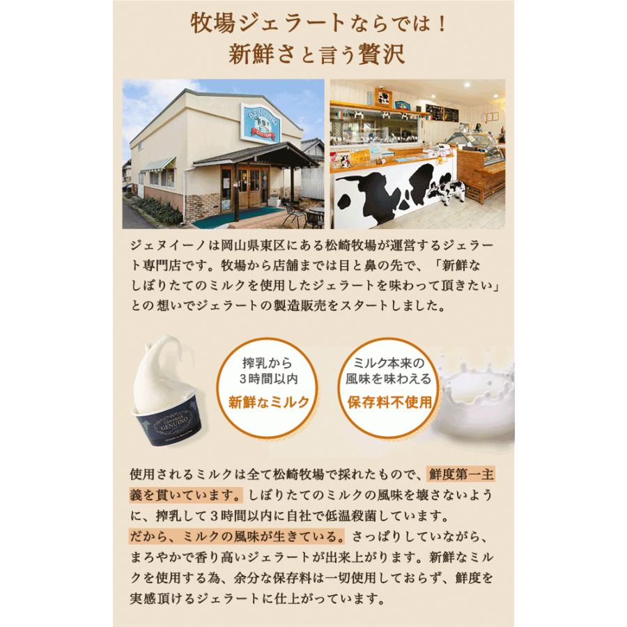 送料無料 岡山県 松崎牧場ジェヌイーノ プレミアムジェラート限定8種セット アイスジェラートギフト お取り寄せグルメ 贈答品 手土産｜planning-shop｜10