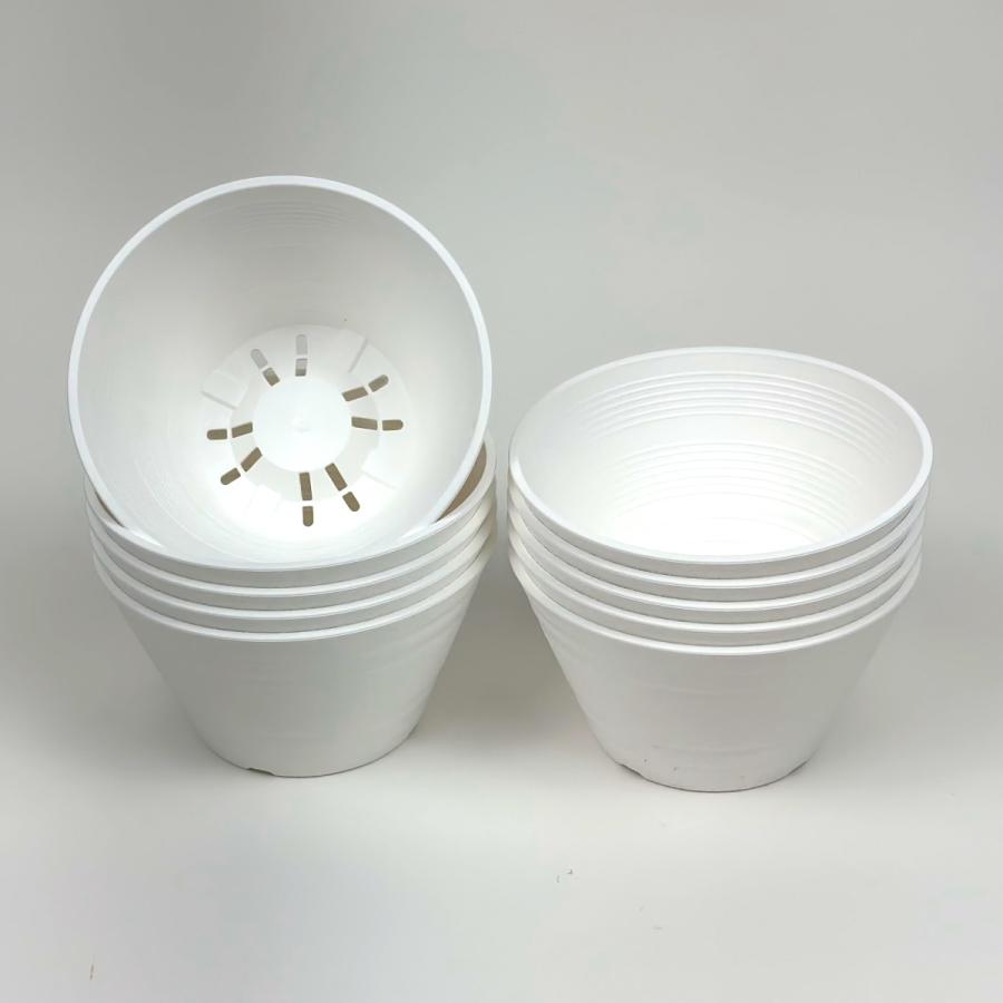 平鉢15号×10個入り（黒・白） セラアート 植木鉢 おしゃれ 黒色 多肉