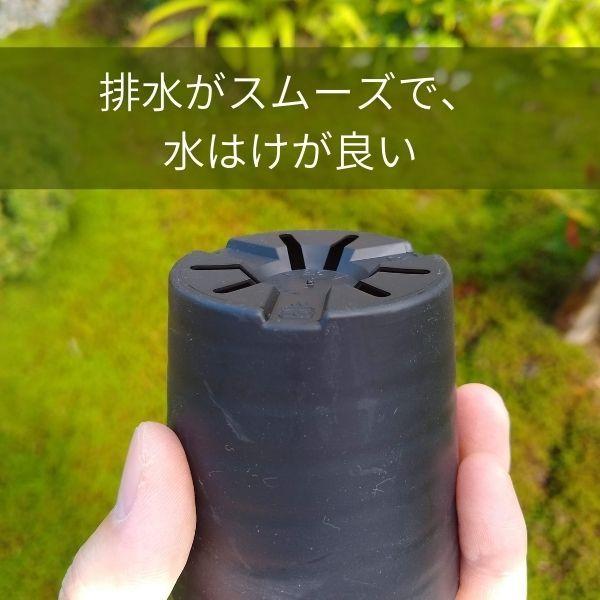 プラ鉢】2.5号 プラスチック鉢 1個（白・黒）セラアート長鉢 おしゃれ