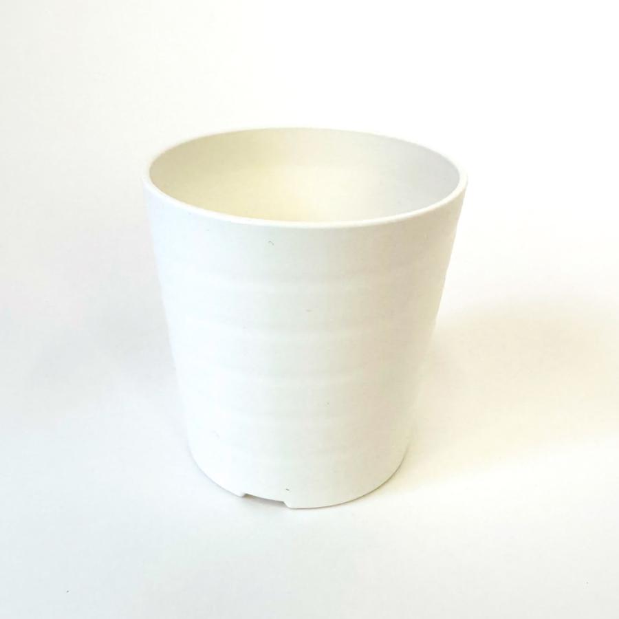 プラ鉢】2.5号 プラスチック鉢 1個（白・黒）セラアート長鉢 おしゃれ