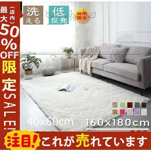 北欧 絨毯 ラグ カーペット 厚手 防音 40x60 滑り止め 160×200 オール
