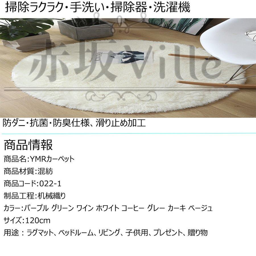ラグ カーペット ラグマット円形 北欧 絨毯 洗える 丸 直径 120 ラグ カーペット ラグマット円形 北欧 絨毯 洗える 丸 直径 120
