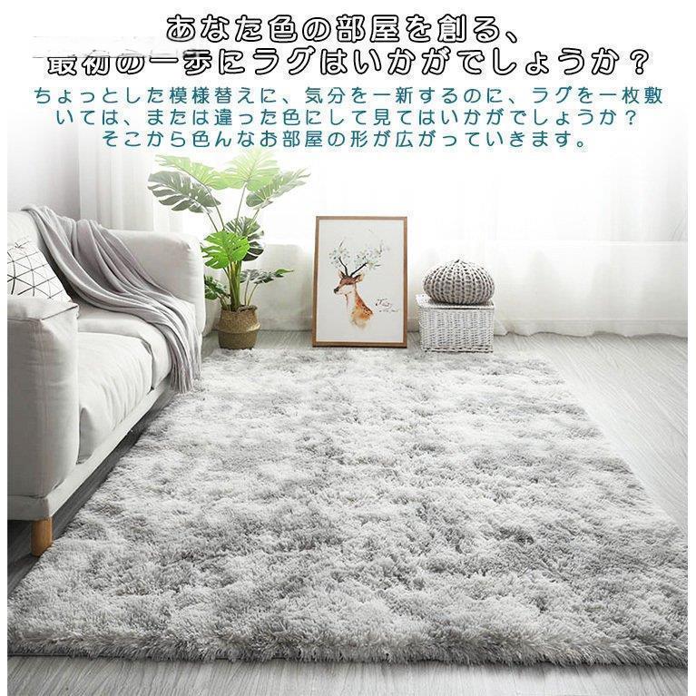 【在庫セール】ラグ カーペット 絨毯 オールシーズン 滑り止め付き じゅうたん カーペット 部分 ラグ ラグマット ホットカーペット 絨毯 オール