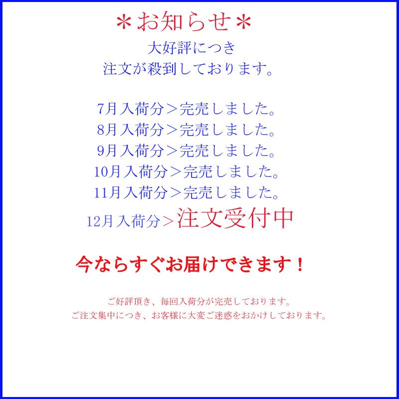 リュックサック メンズ ビジネスバッグ　 ビジネスリュック メンズバッグ バックパック 通勤バッグ ビジネス 3WAY 2泊3日　バレンタインプレゼント｜plantard-japan｜19