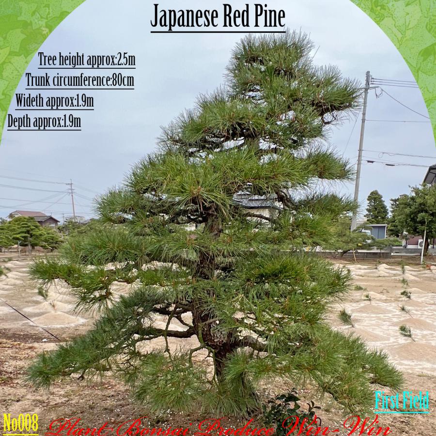 赤松30cm マツダ アテンザセダン XD Lパッケージ 本州仕入 4WDの中古車