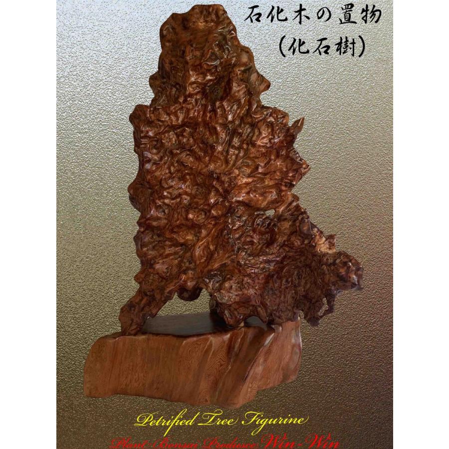 2020年 屋久杉 希少価値の高い石化木(セッカボク)の置物 No3 2020年 屋久杉 希少価値の高い石化木(セッカボク)の置物 No3